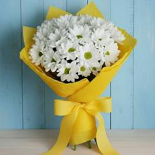Букет цветов из:  Хризантемы в Мисирево