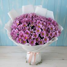 Букет цветов из:  Хризантемы #REPLACE_PRED# Мисирево