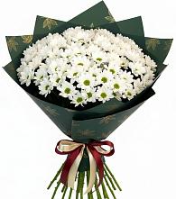 Букет цветов из:  Хризантемы #REPLACE_PRED# Мисирево