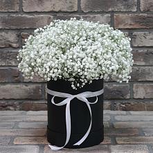 Цветочная композиция из Гипсофила в шляпной коробке в Мисирево