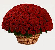 Премиум букет из: Розы #REPLACE_PRED# Мисирево